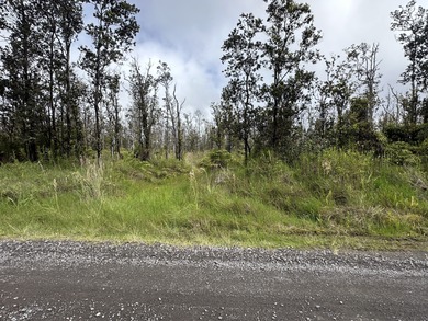 This lot sits on a rise with possible ocean views. Located on - photo 1