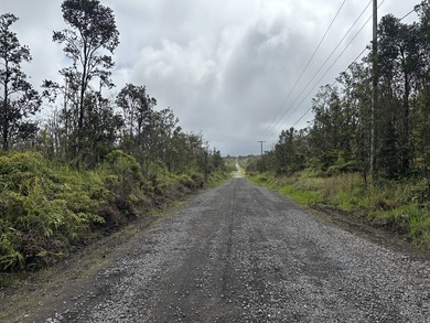 This lot sits on a rise with possible ocean views. Located on - photo 3