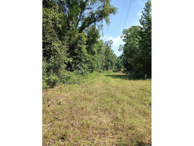 (private lake, pond, creek) Acreage For Sale in Hampton Arkansas