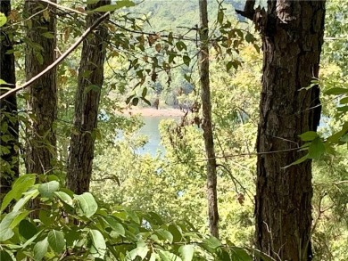 Lake Acreage For Sale in Garfield, Arkansas