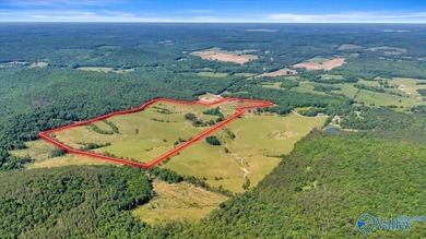 Exceptional 89+/- acre farm in Cherokee, AL featuring - photo 4