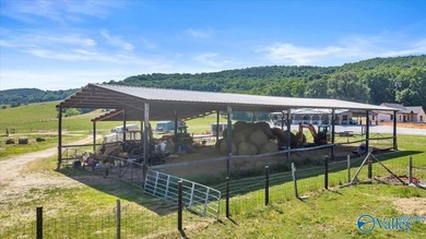 Exceptional 89+/- acre farm in Cherokee, AL featuring - photo 5