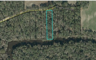  Lot For Sale in Jasper Florida