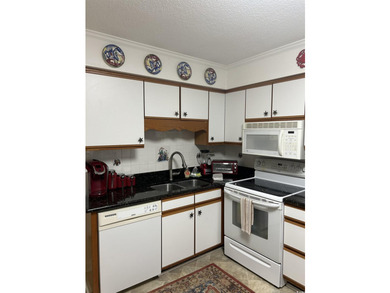 First floor 2 bedroom 1.5 bath unit fully furnished. Floating - photo 9
