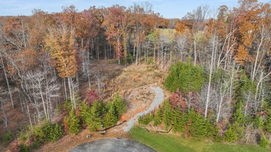 Lake Lot For Sale in Moneta, Virginia