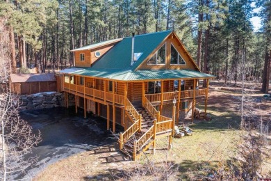 Lake Home For Sale in Bayfield, Colorado