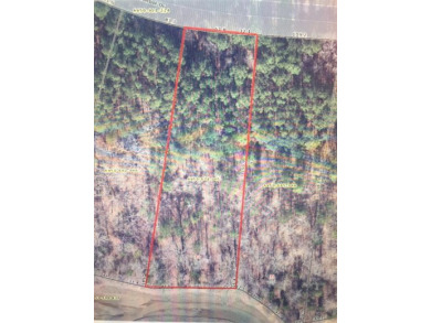 If you always wanted lakefront property, but the thought of - Lake Lot For Sale in Hodges, South Carolina