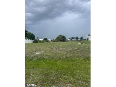 NO FLOOD ZONE!!!!!This exceptional oversized 90 x 125 lot is now - photo 1