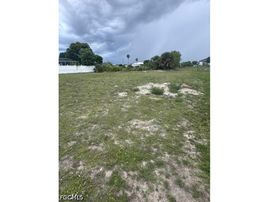 NO FLOOD ZONE!!!!!This exceptional oversized 90 x 125 lot is now - photo 3