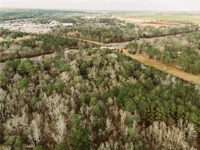 So many possibilities just off Riviere Du Chien Road across from - photo 3
