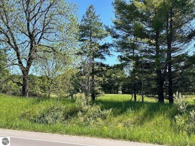 Lake Lot For Sale in Bellaire, Michigan