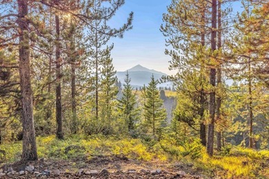 319 Skywood offers a rare combination of acreage, functional - photo 48