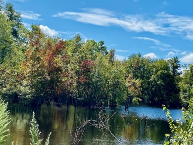 (private lake, pond, creek) Lot For Sale in Lyons Georgia