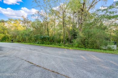 Lake Lot For Sale in Rockwood, Tennessee