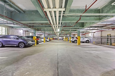 Luxury 1-Bedroom Condo in the Heart of Flushing. Welcome to the