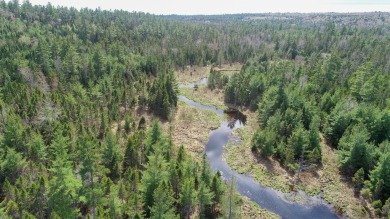 Lake Acreage For Sale in Eastbrook, Maine