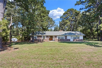 Lake Dardanelle Home For Sale in Dardanelle Arkansas