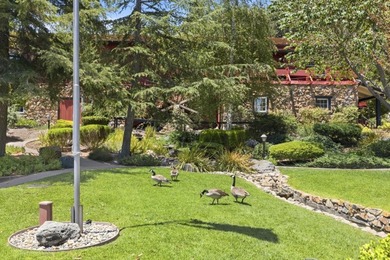 552 Bean Creek Rd, Spc 141 Tucked into a peaceful, treelined - photo 41