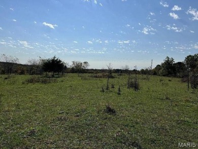 Lake Lot For Sale in Summersville, Missouri