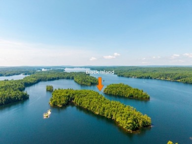 1 Black Island & 93 Birchwood Lane, Winthrop - photo 2