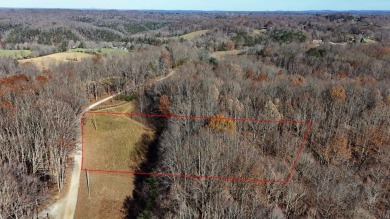 Lake Acreage For Sale in Albany, Kentucky