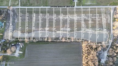 (private lake, pond, coastal) Lot For Sale in Duson Louisiana