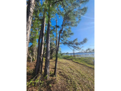 Dupont Lake  Lot For Sale in Deltona Florida