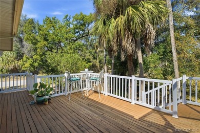 Pride of ownership shines throughout this impeccable Riverhaven - photo 20