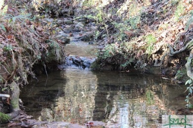Lake Acreage For Sale in Hartwell, Georgia