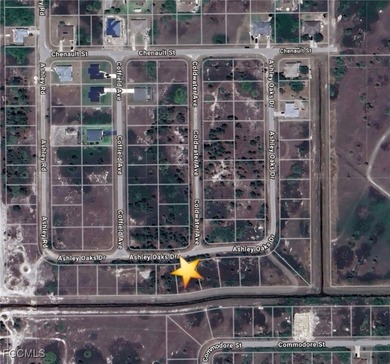 Lehigh Acres Area Lot For Sale in Lehigh Acres Florida