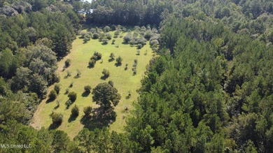 92 Acres of Timber, Wildlife, and Homesite Potential - Pearl - photo 2