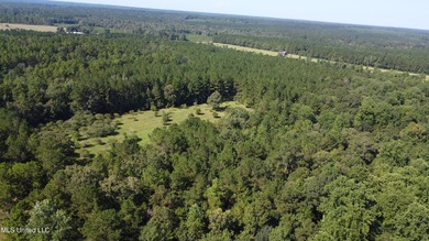 92 Acres of Timber, Wildlife, and Homesite Potential - Pearl - photo 5
