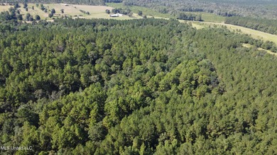 92 Acres of Timber, Wildlife, and Homesite Potential - Pearl - photo 6