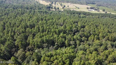 92 Acres of Timber, Wildlife, and Homesite Potential - Pearl - photo 7