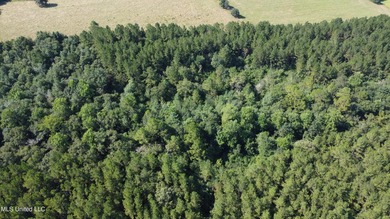 92 Acres of Timber, Wildlife, and Homesite Potential - Pearl - photo 9