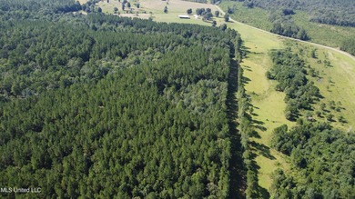 92 Acres of Timber, Wildlife, and Homesite Potential - Pearl - photo 10