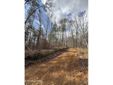 Ocoee River Lot For Sale in Benton Tennessee