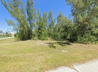OVERSIZED CORNER LOT located in Cape Coral! NO HOA FEES! Perfect - photo 3