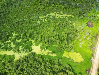 Affordable Mississippi Delta Duck & Deer Hunting Land for - photo 11
