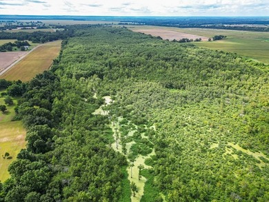 Affordable Mississippi Delta Duck & Deer Hunting Land for - photo 12