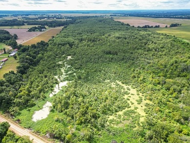 Affordable Mississippi Delta Duck & Deer Hunting Land for - photo 13