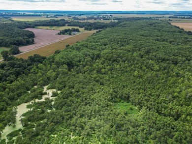 Affordable Mississippi Delta Duck & Deer Hunting Land for - photo 14