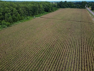 Affordable Mississippi Delta Duck & Deer Hunting Land for - photo 15