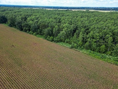 Affordable Mississippi Delta Duck & Deer Hunting Land for - photo 20