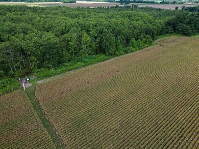 Affordable Mississippi Delta Duck & Deer Hunting Land for - photo 21
