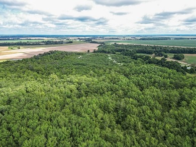 Affordable Mississippi Delta Duck & Deer Hunting Land for - photo 22
