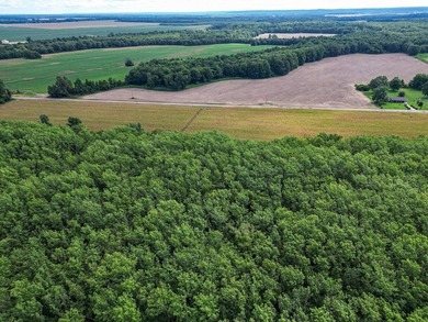 Affordable Mississippi Delta Duck & Deer Hunting Land for - photo 23