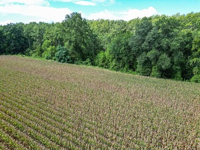 Affordable Mississippi Delta Duck & Deer Hunting Land for - photo 25