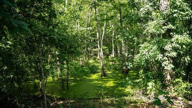 Affordable Mississippi Delta Duck & Deer Hunting Land for - photo 29