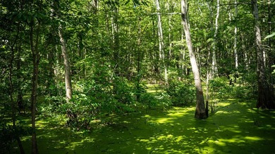Affordable Mississippi Delta Duck & Deer Hunting Land for - photo 31